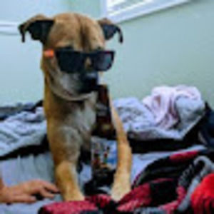 Meet your Posher, Tommy